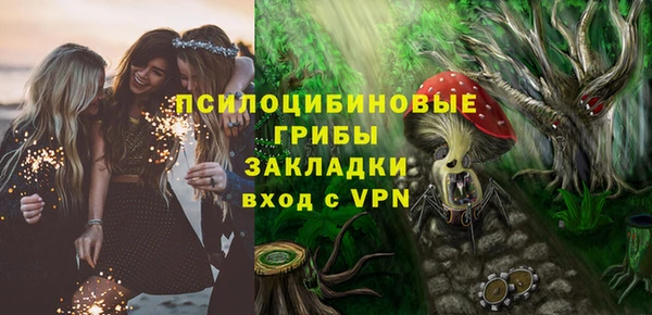 Альфа ПВП Алзамай