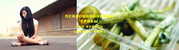 Альфа ПВП Алзамай
