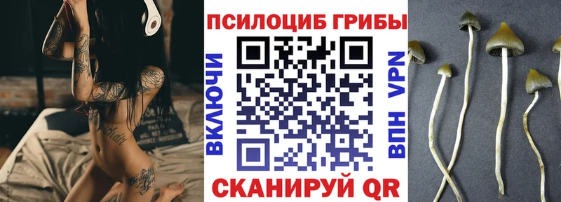 MEGA ссылки Петровск-Забайкальский Галлюциногенные грибы GOLDEN TEACHER сколько стоит